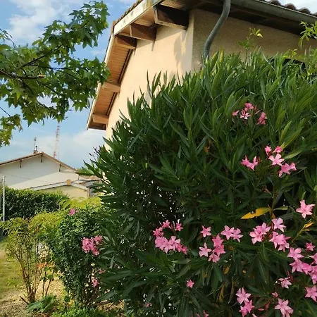 L'atelier Saint-sulpice - Cocon, Piscine, Deconnexion Entre Bordeaux Et St Emilion 3* Saint-Sulpice-et-Cameyrac