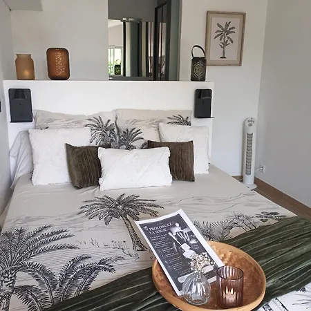 Bed & Breakfast L'atelier Saint-sulpice - Cocon, Piscine, Deconnexion Entre Bordeaux Et St Emilion Saint-Sulpice-et-Cameyrac